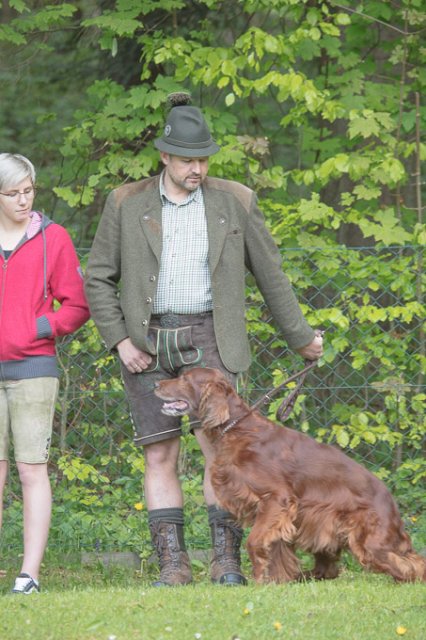 Hundepräsentation 2019